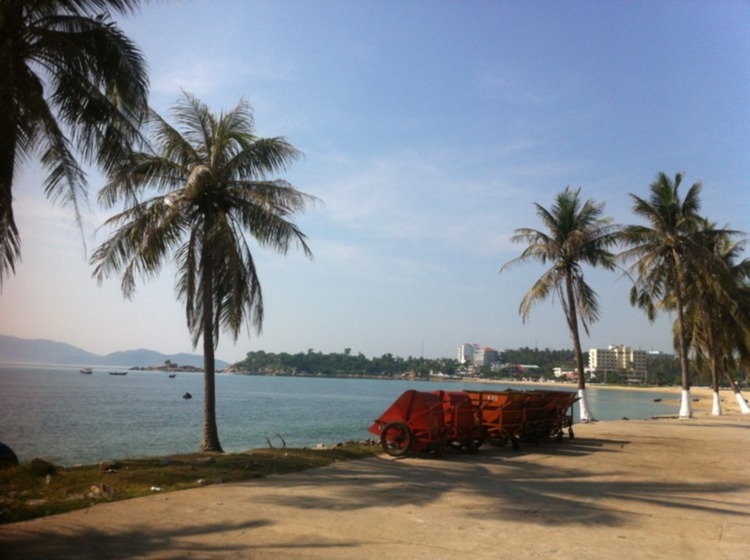 Bản tin XNL – Nha Trang