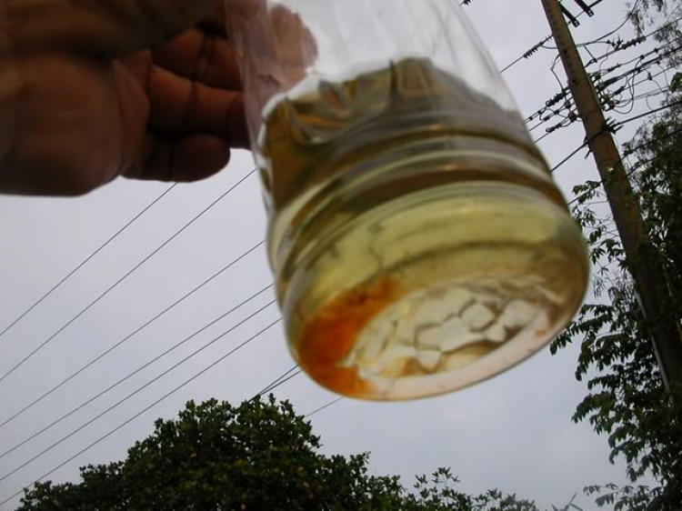 Nơi đăng TIN YÊU CẦU TRỢ GIÚP từ nhóm S.O.S! Nơi đăng TIN YÊU CẦU TRỢ GIÚP từ nhóm S.O.S!