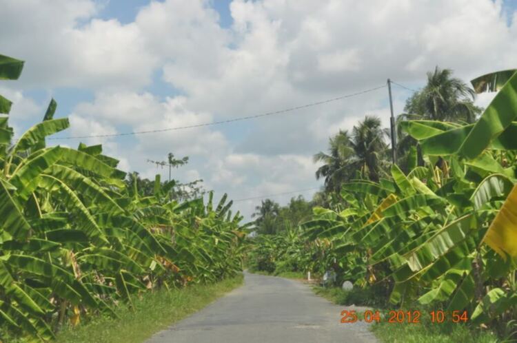 Trà Vinh có gì đẹp không em?