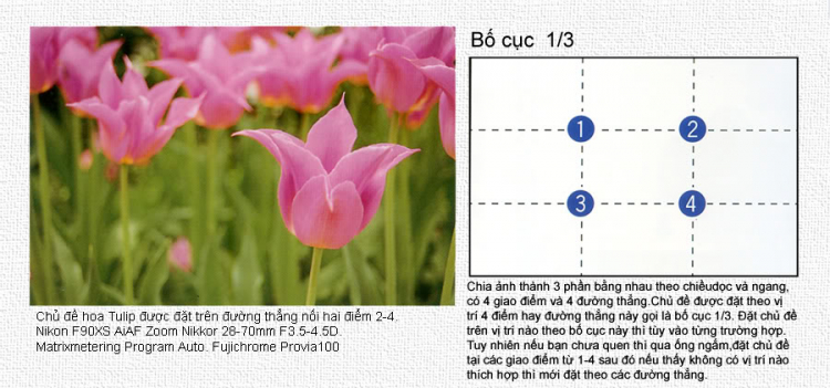 Mẫu gom góp cuối tuần