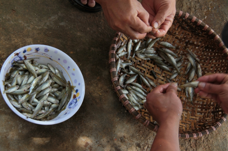 Ba mươi tháng tư đi tránh miền đất dữ - Gặp Fulro ở giữa cánh rừng thô! ... Hô hô hô!