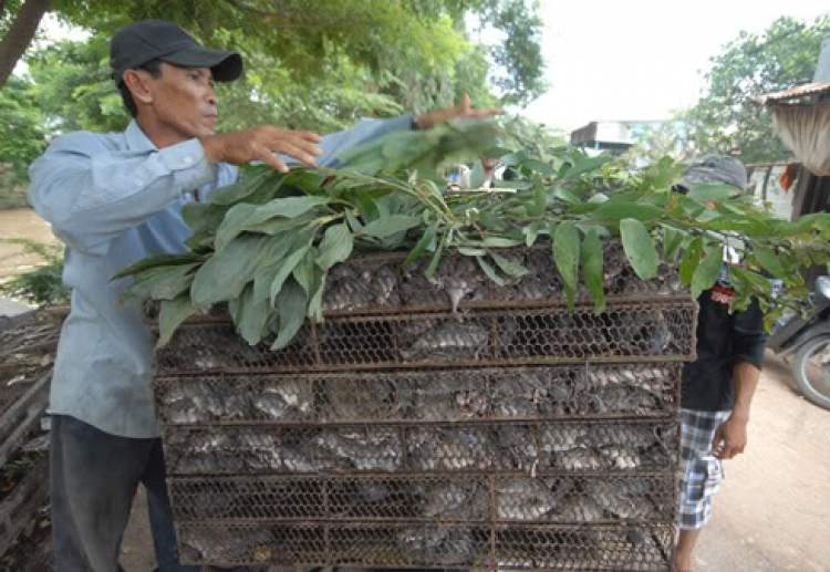 Đặc sản các Tỉnh ,đi Du Lịch mua về làm quà.