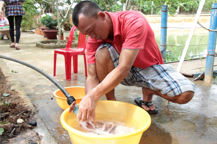 Ba mươi tháng tư đi tránh miền đất dữ - Gặp Fulro ở giữa cánh rừng thô! ... Hô hô hô!