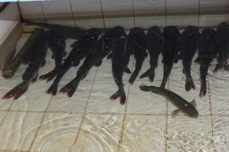 Hình ảnh chặng đường Thẳng Tiến Cà Mau 30.04-01.05.2012