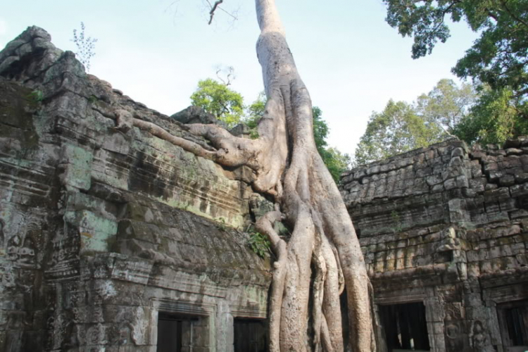 [Cambodia] Hành trình khám phá đất nước Chùa Tháp - OS Camravan 2012