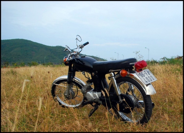 Bản tin XNL – Nha Trang