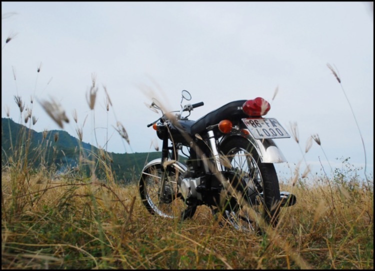 Bản tin XNL – Nha Trang