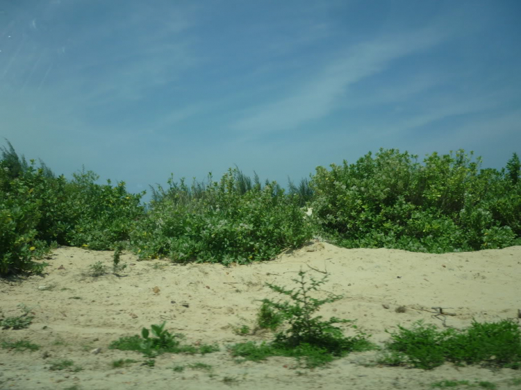 Phan Rang vùng đất của nắng và gió Phan Rang vùng đất của nắng và gió