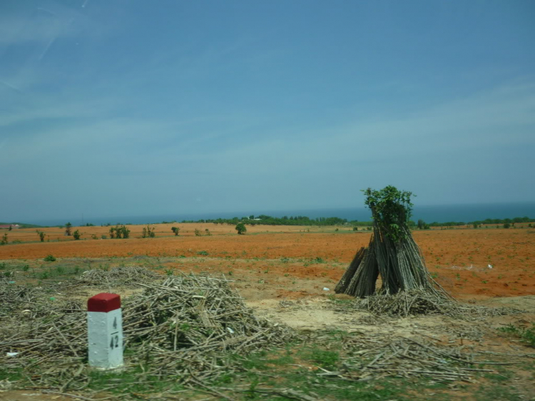 Phan Rang vùng đất của nắng và gió