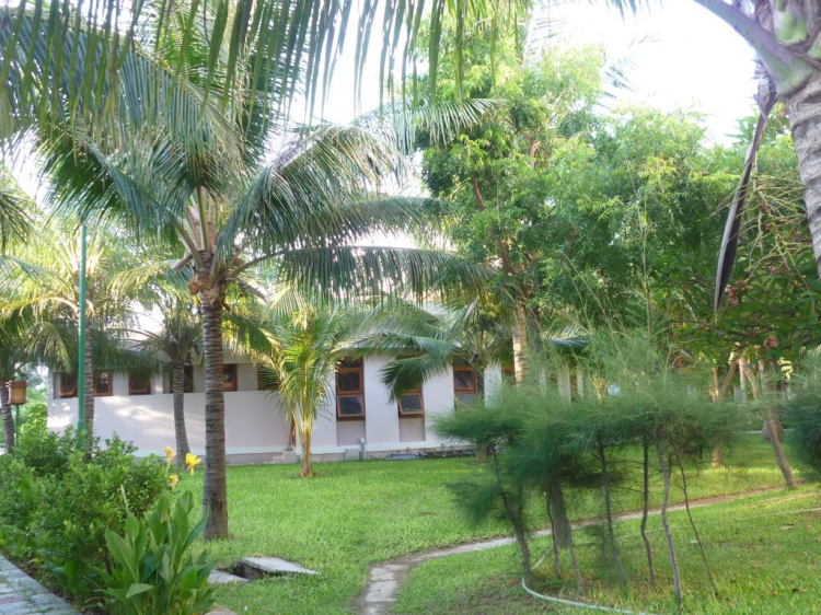 Phan Rang vùng đất của nắng và gió Phan Rang vùng đất của nắng và gió