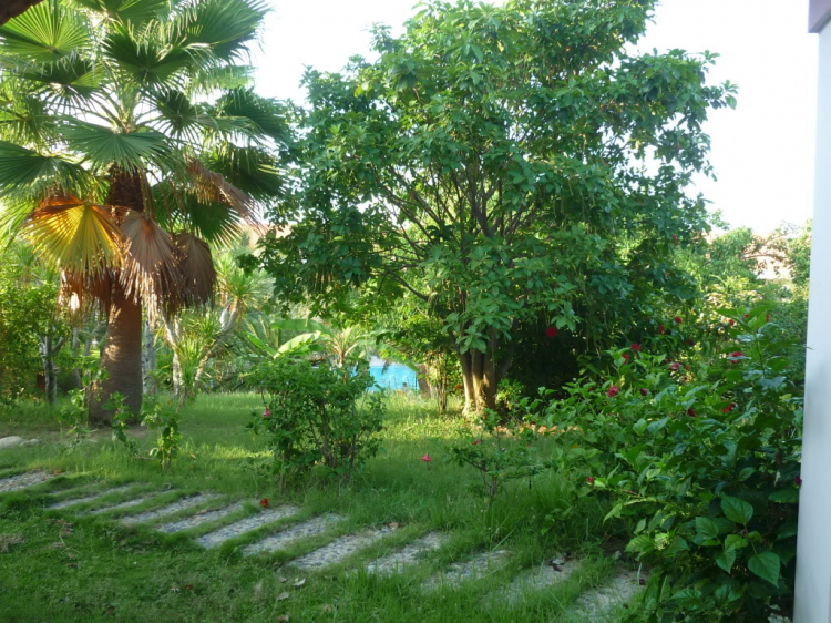Phan Rang vùng đất của nắng và gió Phan Rang vùng đất của nắng và gió
