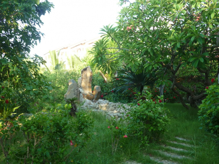 Phan Rang vùng đất của nắng và gió Phan Rang vùng đất của nắng và gió