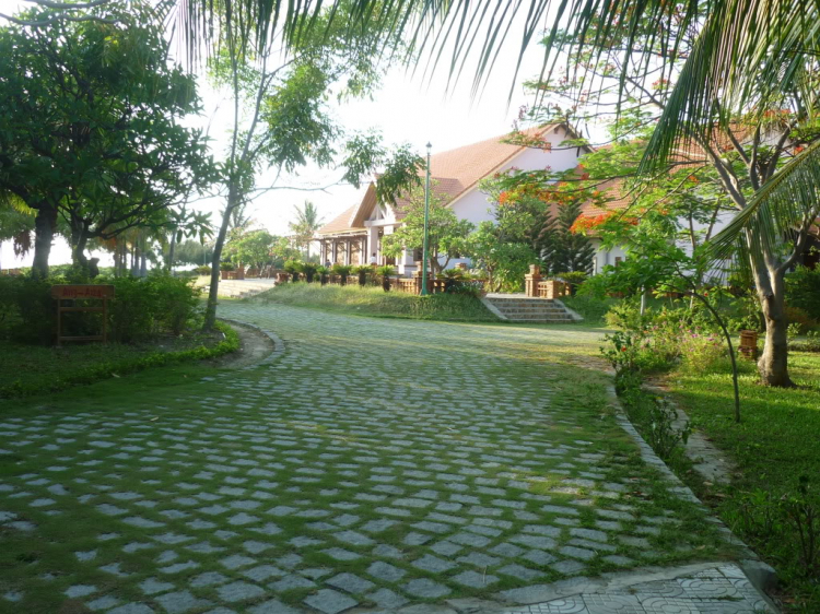 Phan Rang vùng đất của nắng và gió Phan Rang vùng đất của nắng và gió