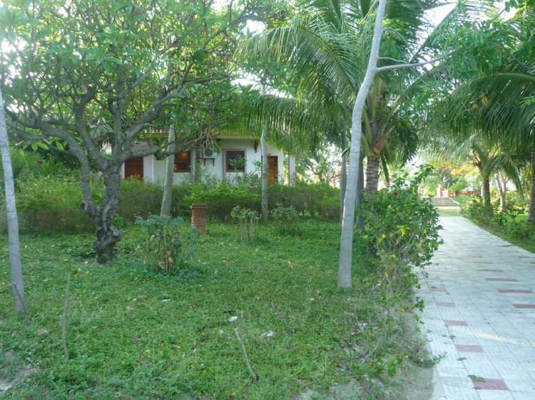 Phan Rang vùng đất của nắng và gió Phan Rang vùng đất của nắng và gió