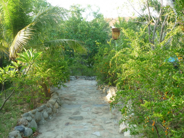 Phan Rang vùng đất của nắng và gió Phan Rang vùng đất của nắng và gió