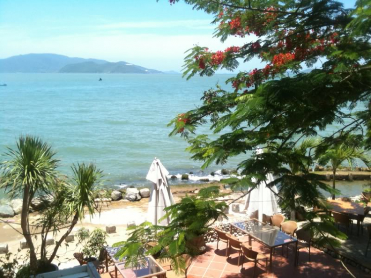 Bản tin XNL – Nha Trang
