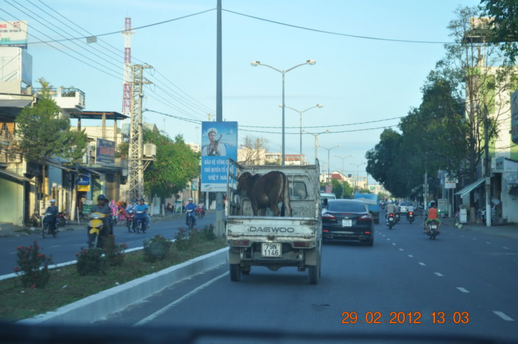 Tư vấn giúp tuyến Sài Gòn - Nha Trang.