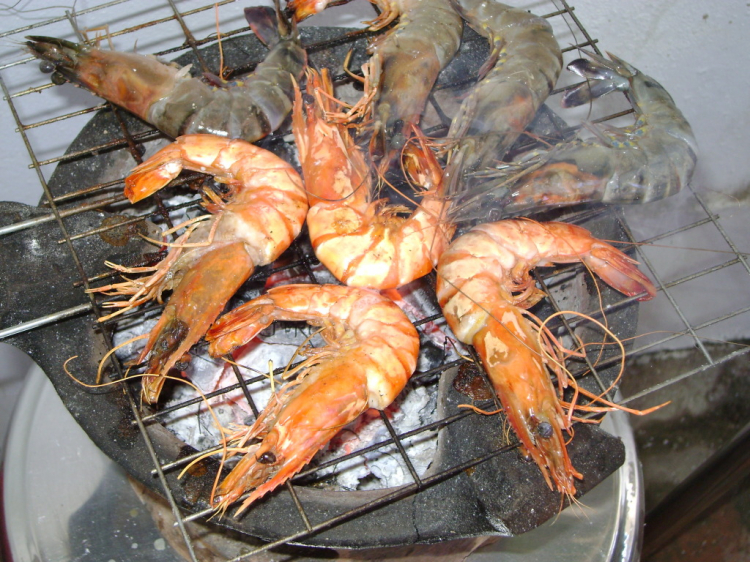 Bản tin XNL – Nha Trang Bản tin XNL – Nha Trang
