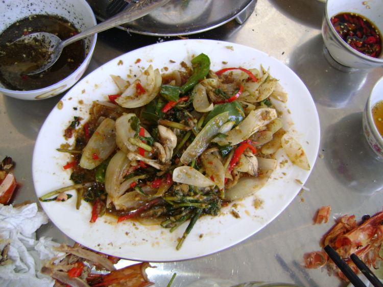 Bản tin XNL – Nha Trang Bản tin XNL – Nha Trang