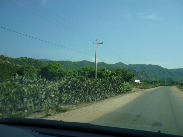 Phan Rang vùng đất của nắng và gió Phan Rang vùng đất của nắng và gió