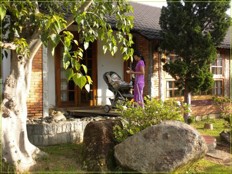 Zìa phố Núi-Hình ảnh Lãng mạn những chiếc xe cố độc bản ! Zìa phố Núi-Hình ảnh Lãng mạn những chiếc xe cố độc bản !
