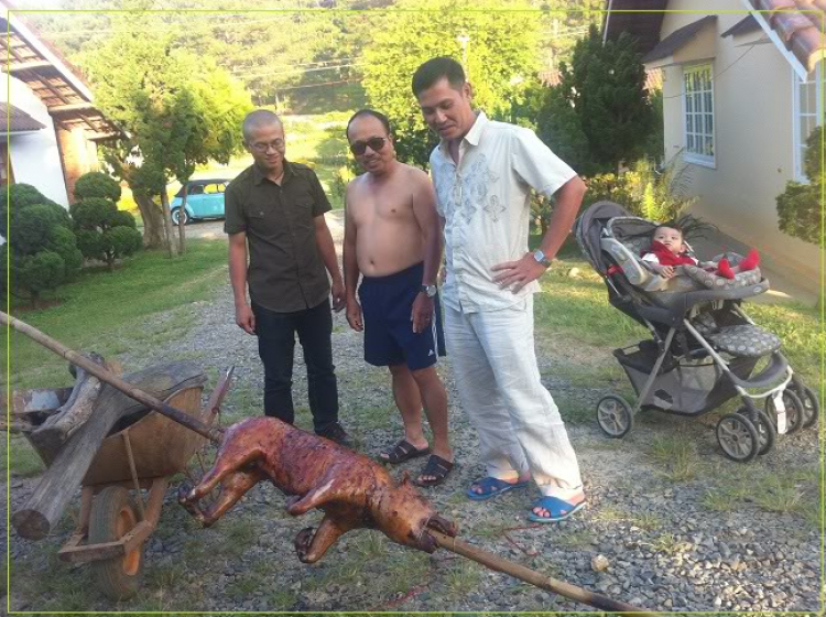 Zìa phố Núi-Hình ảnh Lãng mạn những chiếc xe cố độc bản ! Zìa phố Núi-Hình ảnh Lãng mạn những chiếc xe cố độc bản !
