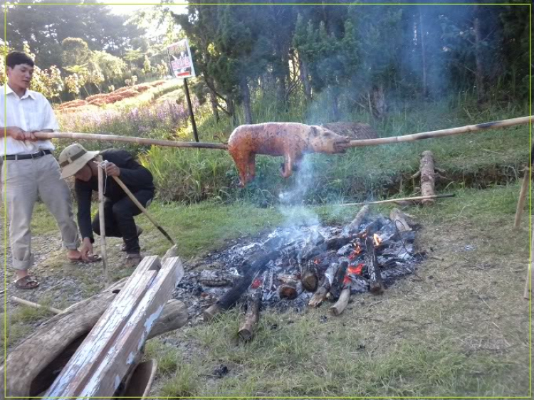 Zìa phố Núi-Hình ảnh Lãng mạn những chiếc xe cố độc bản !