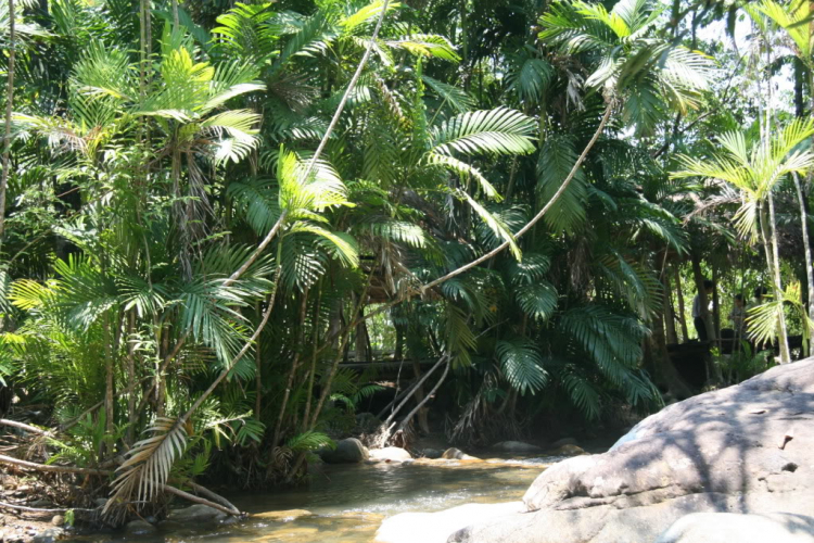 Bản tin XNL – Nha Trang