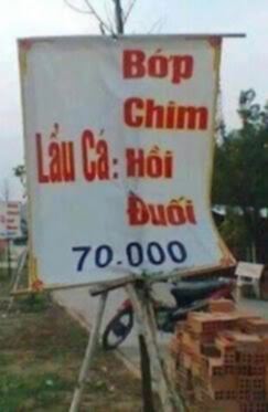 NGOINHAXANH và NHỮNG NGƯỜI BẠN