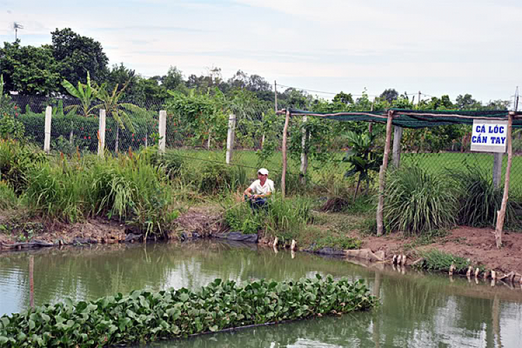 Tân Phú lập ấp