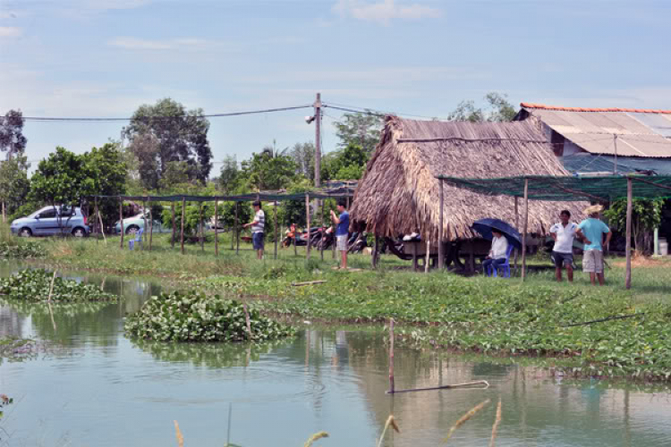 Tân Phú lập ấp