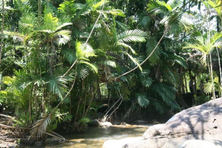 Bản tin XNL – Nha Trang