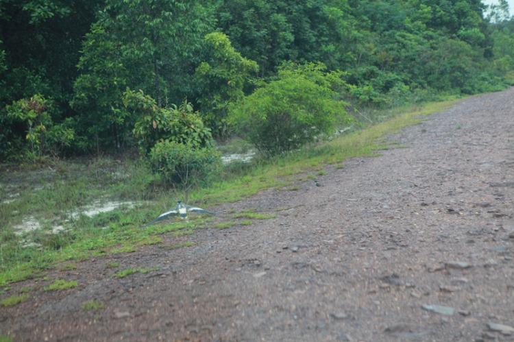 Hành trình của đoàn Off-Road đầu tiên chinh phục đỉnh Núi Chúa – Vườn Quốc Gia Phú Quốc