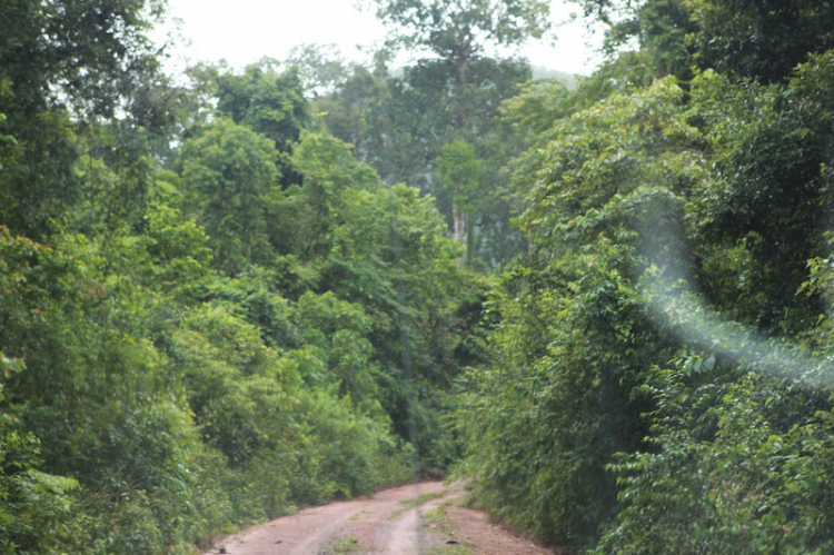 Hành trình của đoàn Off-Road đầu tiên chinh phục đỉnh Núi Chúa – Vườn Quốc Gia Phú Quốc