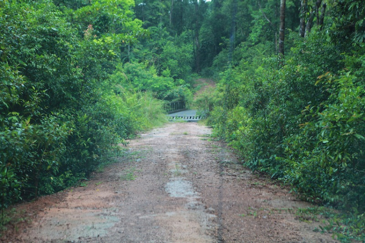 Hành trình của đoàn Off-Road đầu tiên chinh phục đỉnh Núi Chúa – Vườn Quốc Gia Phú Quốc