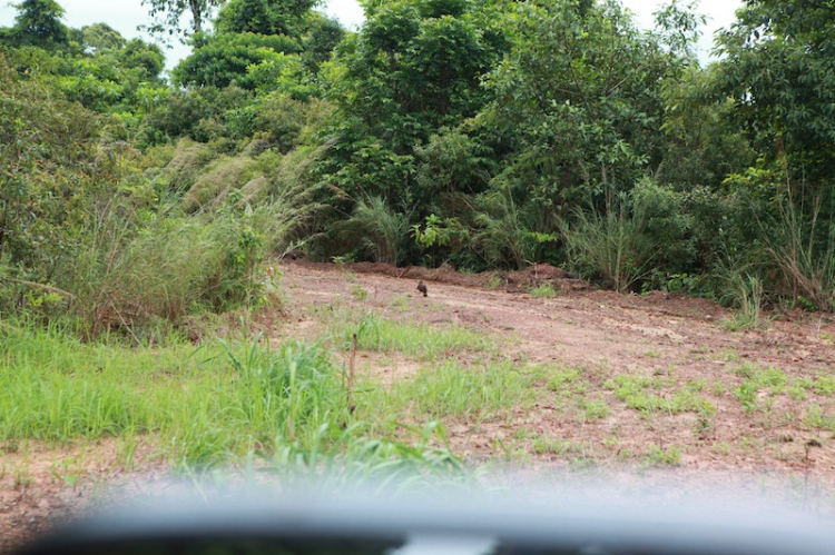 Hành trình của đoàn Off-Road đầu tiên chinh phục đỉnh Núi Chúa – Vườn Quốc Gia Phú Quốc