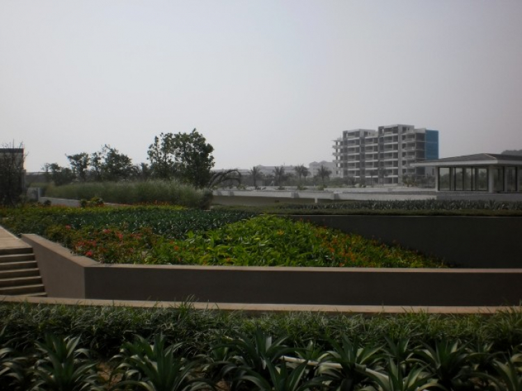 Hyatt Regency Da Nang - Một góc nhìn Hyatt Regency Da Nang - Một góc nhìn
