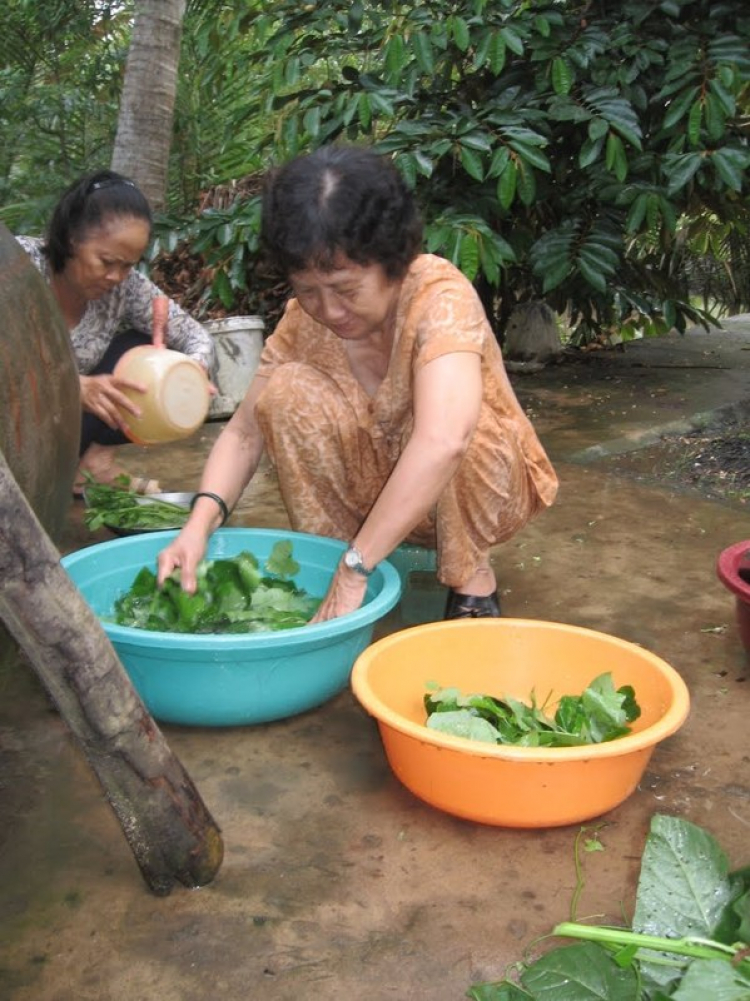 Miệt vườn Miệt vườn
