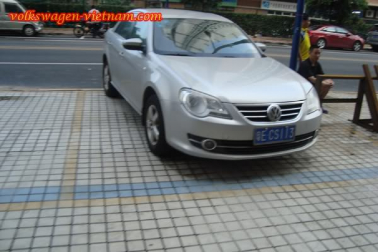 China Lavida New China Lavida New