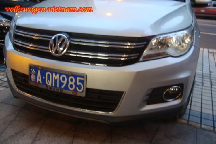 China Lavida New China Lavida New