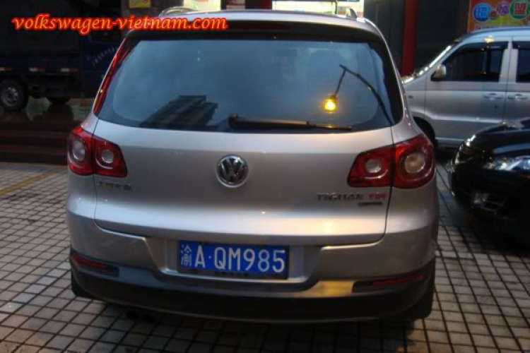 China Lavida New China Lavida New