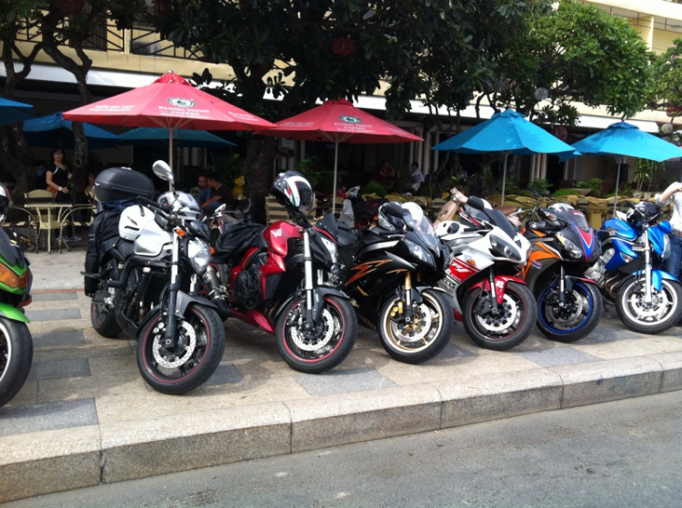 NGOINHAXANH và NHỮNG NGƯỜI BẠN