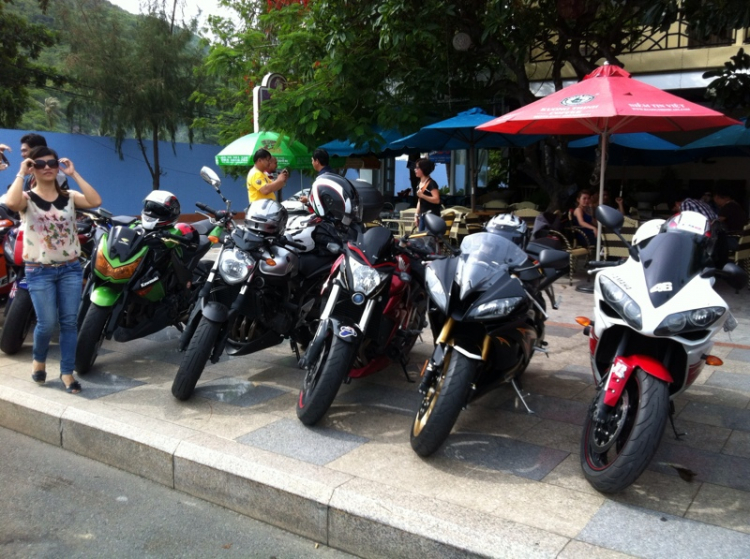 NGOINHAXANH và NHỮNG NGƯỜI BẠN