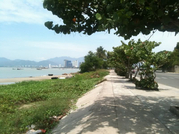 Bản tin XNL – Nha Trang Bản tin XNL – Nha Trang