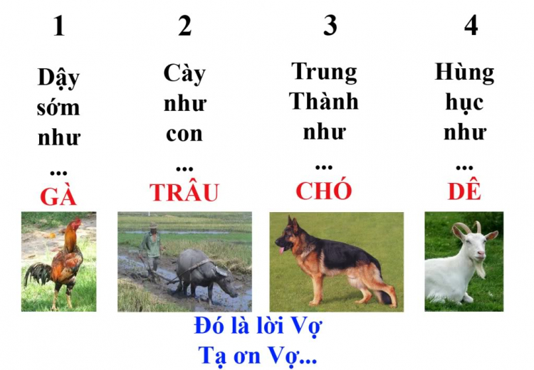 Đời người qua 4 cái chai