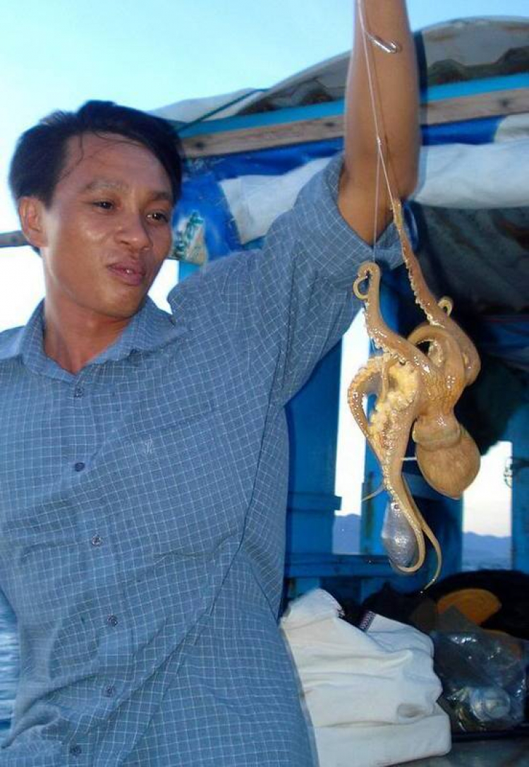 Du ngoạn trên biển bằng xuồng phao bơm hơi. Du ngoạn trên biển bằng xuồng phao bơm hơi.