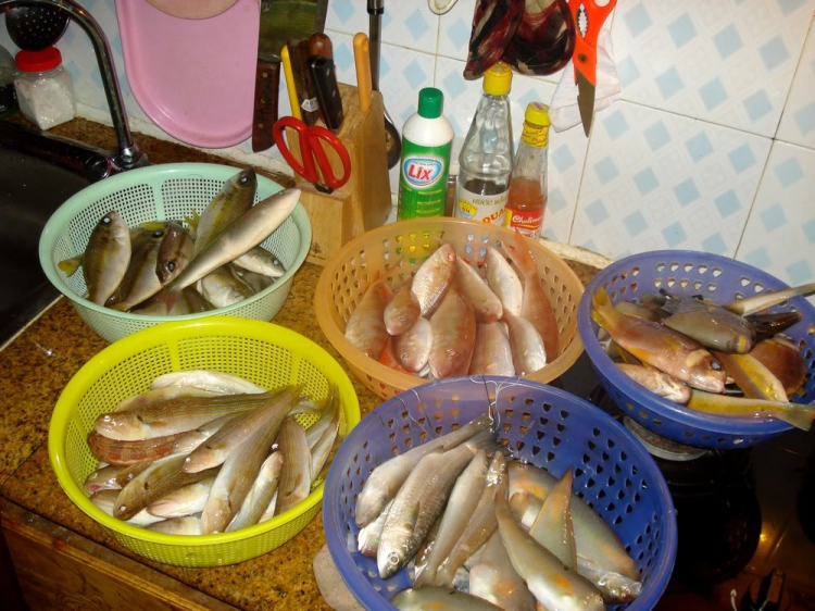 Du ngoạn trên biển bằng xuồng phao bơm hơi. Du ngoạn trên biển bằng xuồng phao bơm hơi.