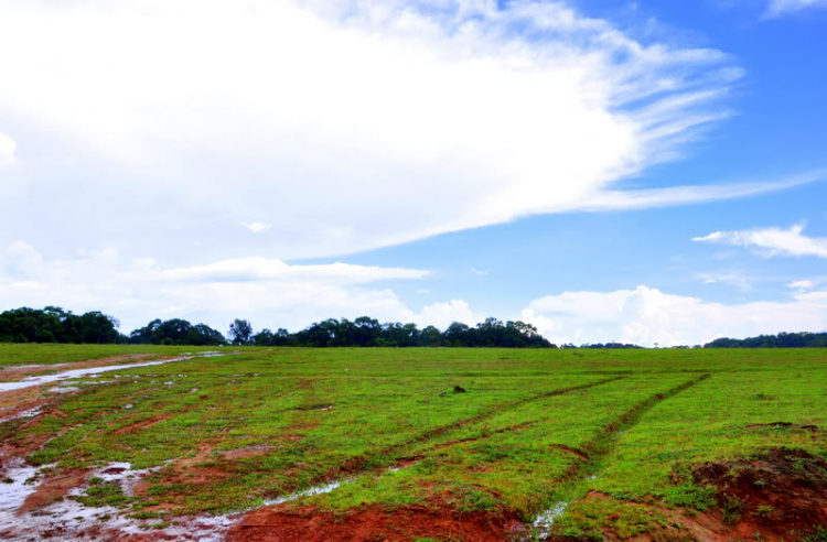 Mini- offroad- thưởng trăng tại trảng cỏ Bàu Lạch, Bình Phước 23,24/6/2012