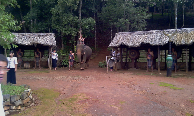 Matiz: chân ngắn trên đường dài! Festival Đà Lạt 2013.(p204)