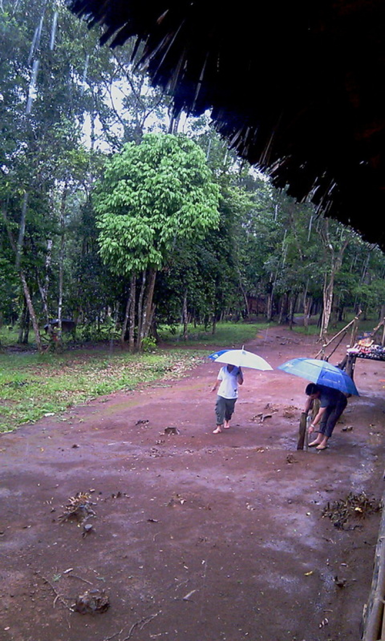 Matiz: chân ngắn trên đường dài! Festival Đà Lạt 2013.(p204)